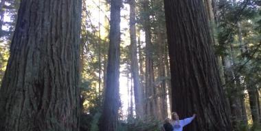 link to full image of Palmer Westbrook Ranch Redwoods 2