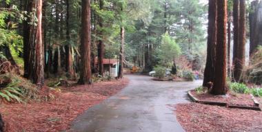 link to full image of Driveway