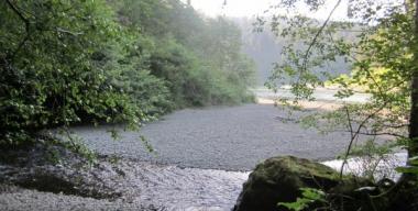link to full image of Smith River from Stout Grove 2